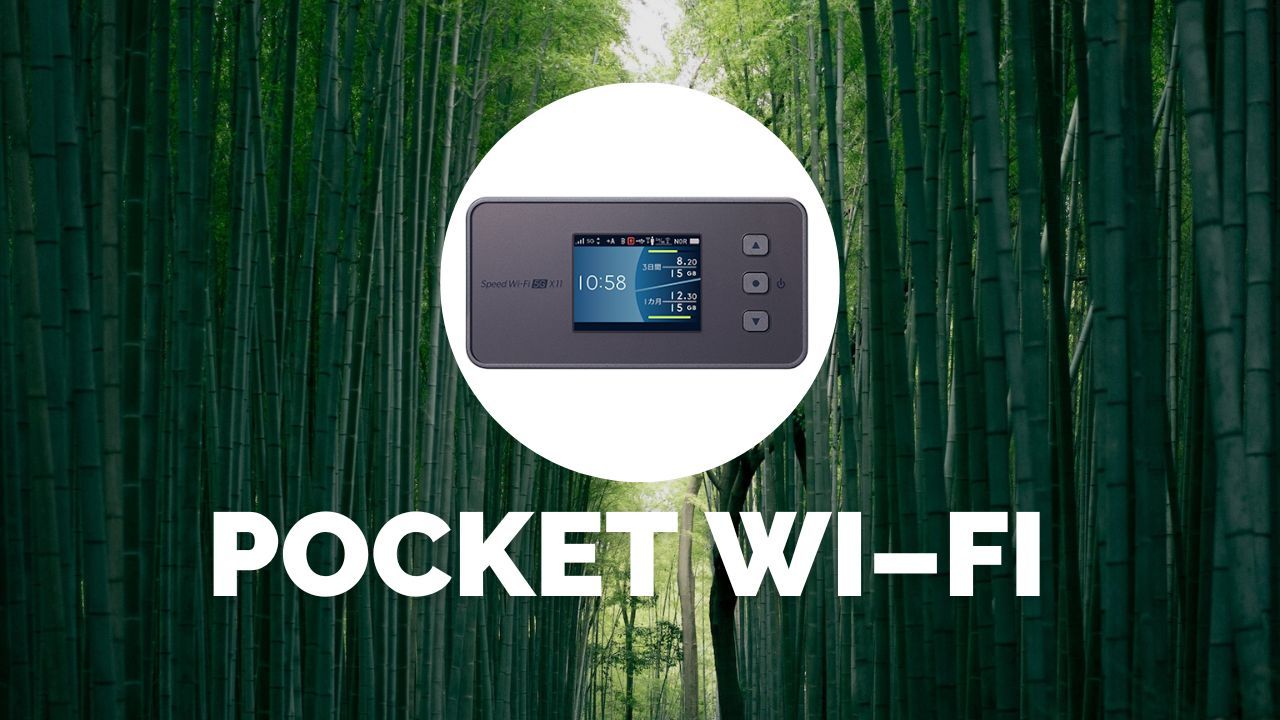 Renting a Pocket WiFi Router & SIM Card in Japan: Options, Advice